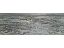 foto/diskuze/vseobecna/2010/th-img36110.jpg