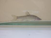 foto/diskuze/vseobecna/2010/th-img37297.jpg