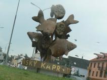 foto/diskuze/vseobecna/2010/th-img38111.jpg