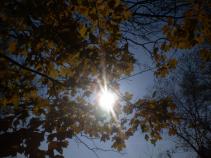 foto/diskuze/vseobecna/2010/th-img38621.jpg