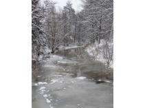 foto/diskuze/vseobecna/2010/th-img38967.jpg