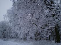 foto/diskuze/vseobecna/2010/th-img39520.jpg