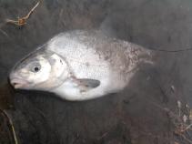 foto/diskuze/vseobecna/2011/th-img40784.jpg