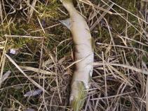 foto/diskuze/vseobecna/2011/th-img40962.jpg