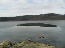 foto/diskuze/vseobecna/2011/th-img41242.jpg