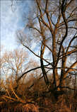 foto/diskuze/vseobecna/2011/th-img41263.jpg