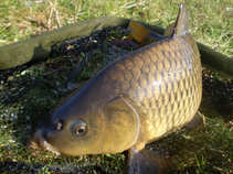 foto/diskuze/vseobecna/2011/th-img41624.jpg