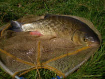 foto/diskuze/vseobecna/2011/th-img41641.jpg