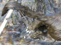 foto/diskuze/vseobecna/2011/th-img42148.jpg