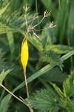 foto/diskuze/vseobecna/2011/th-img42209.jpg