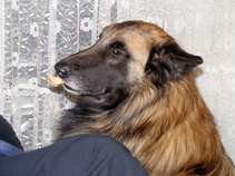 foto/diskuze/vseobecna/2011/th-img42913.jpg