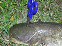foto/diskuze/vseobecna/2011/th-img43739.jpg