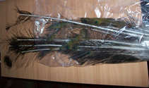 foto/diskuze/vseobecna/2011/th-img44015.jpg