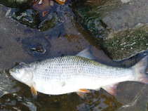 foto/diskuze/vseobecna/2011/th-img44355.jpg