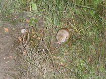 foto/diskuze/vseobecna/2011/th-img45580.jpg