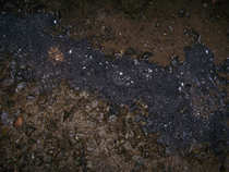 foto/diskuze/vseobecna/2011/th-img46174.jpg