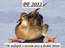 foto/diskuze/vseobecna/2011/th-img46580.jpg