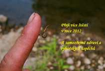 foto/diskuze/vseobecna/2011/th-img46613.jpg