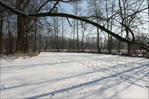 foto/diskuze/vseobecna/2012/th-img47399.jpg