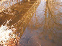 foto/diskuze/vseobecna/2012/th-img47895.jpg