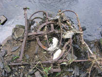 foto/diskuze/vseobecna/2012/th-img48372.jpg