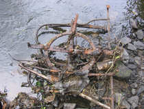 foto/diskuze/vseobecna/2012/th-img48373.jpg