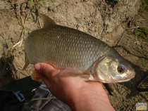 foto/diskuze/vseobecna/2012/th-img48460.jpg