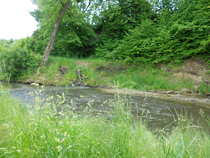 foto/diskuze/vseobecna/2012/th-img49311.jpg