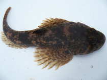 foto/diskuze/vseobecna/2012/th-img49371.jpg