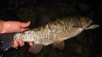 foto/diskuze/vseobecna/2012/th-img49626.jpg