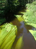 foto/diskuze/vseobecna/2012/th-img50373.jpg