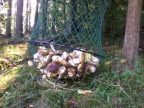 foto/diskuze/vseobecna/2012/th-img50609.jpg