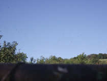 foto/diskuze/vseobecna/2012/th-img50741.jpg