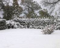 foto/diskuze/vseobecna/2012/th-img51211.jpg