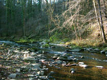 foto/diskuze/vseobecna/2012/th-img89547.jpg