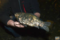 foto/diskuze/vseobecna/2012/th-img91129.jpg