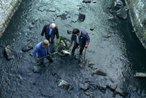 foto/diskuze/vseobecna/2012/th-img91159.jpg