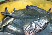 foto/diskuze/vseobecna/2012/th-img91163.jpg