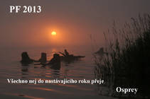 foto/diskuze/vseobecna/2012/th-img91192.jpg