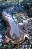 foto/diskuze/vseobecna/2013/th-img100126.jpg