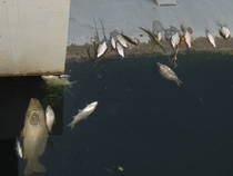 foto/diskuze/vseobecna/2013/th-img100562.jpg