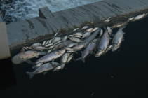 foto/diskuze/vseobecna/2013/th-img100581.jpg