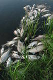 foto/diskuze/vseobecna/2013/th-img100587.jpg