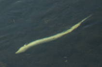 foto/diskuze/vseobecna/2013/th-img100588.jpg