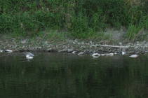 foto/diskuze/vseobecna/2013/th-img100589.jpg