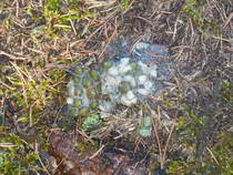 foto/diskuze/vseobecna/2013/th-img103891.jpg