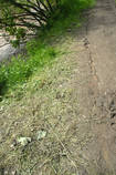 foto/diskuze/vseobecna/2013/th-img99064.jpg