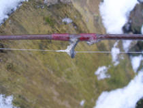foto/diskuze/vseobecna/2014/th-img104513.jpg