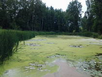 foto/diskuze/vseobecna/2014/th-img107963.jpg