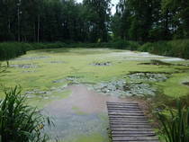 foto/diskuze/vseobecna/2014/th-img107964.jpg
